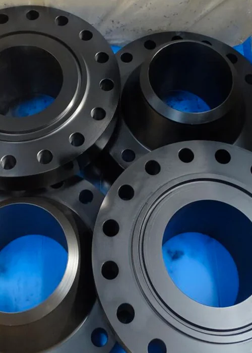 IMG 5 (Flanges)